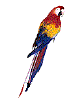 [Moving Parrot]